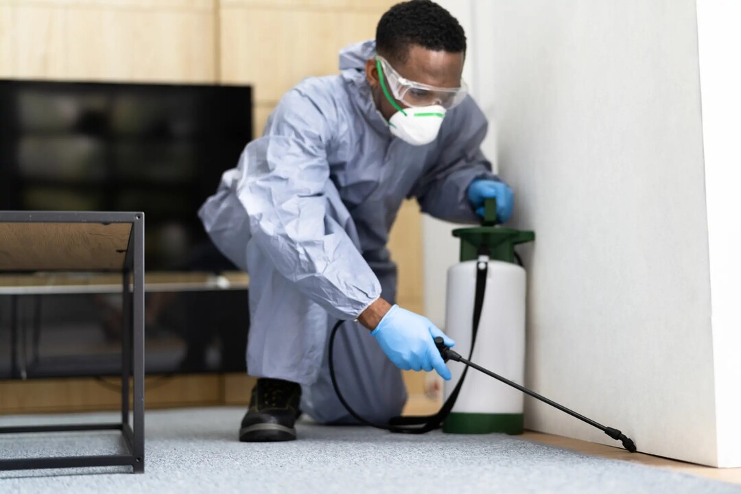 Fumigation Services at Oraan Hygiene